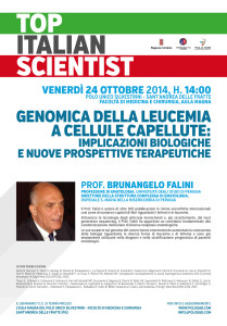 Polo_GGB_TIS_manifesto_incontro_FALINI