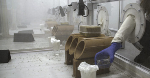 laboratorio genetica ecologia polo ggb