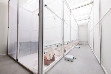 Mosquitoes' large cages