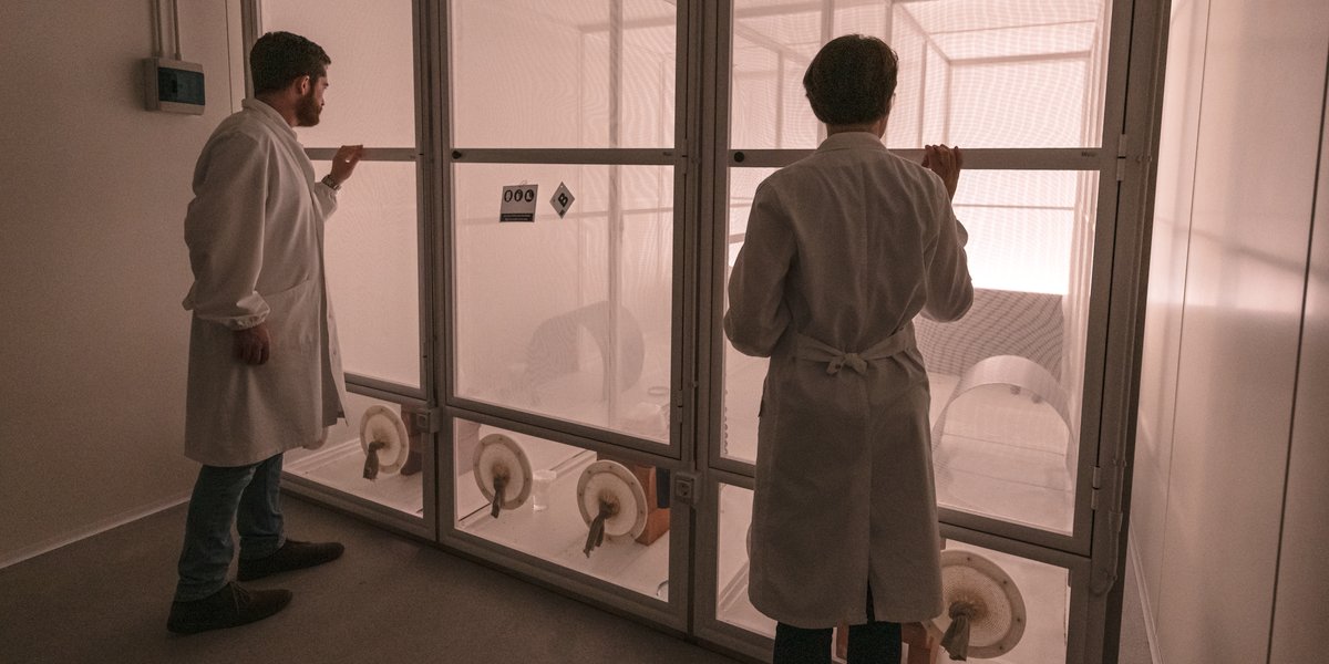 Polo GGB's large cages for mosquitoes