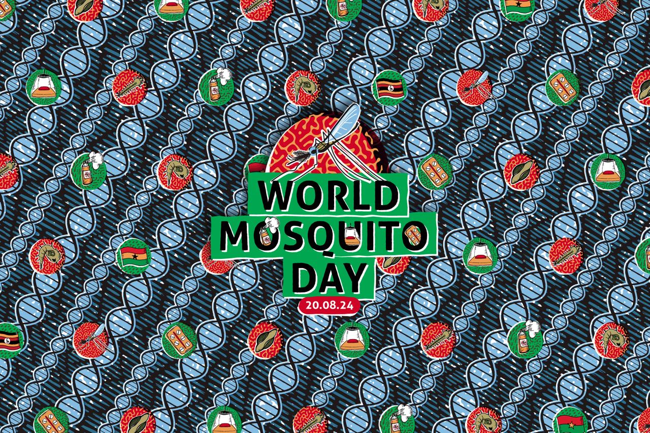 World Mosquito Day 2024